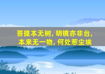 菩提本无树, 明镜亦非台, 本来无一物, 何处惹尘埃